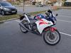 Honda Cbr 250