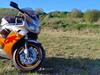Honda CBR 900 RR Fireblade SC28 Urban Tiger