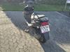 PGO T rex 110