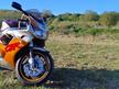 Honda CBR 900 RR Fireblade SC28 Urban Tiger