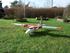 Multiplex Twinstar II SE 15 marts 2008