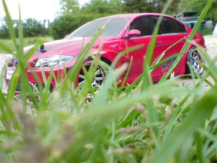 Fredags billeder  billede 21