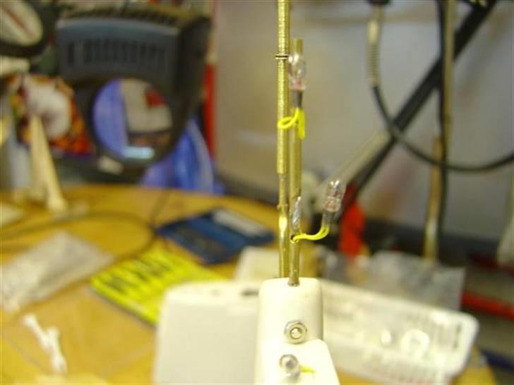 Odin fra robbe billede 14