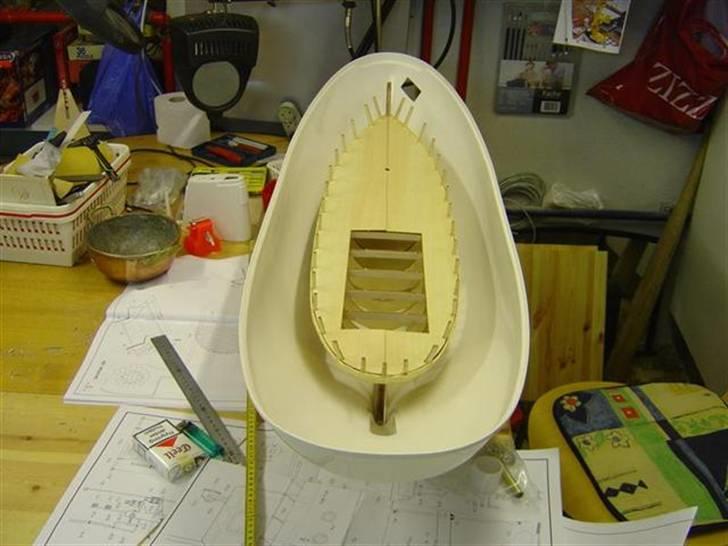 Odin fra robbe billede 17