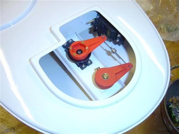 Odin fra robbe billede 40