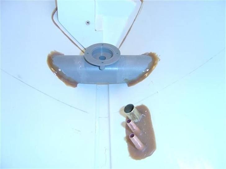 Odin fra robbe billede 53