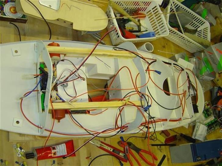 Odin fra robbe billede 59