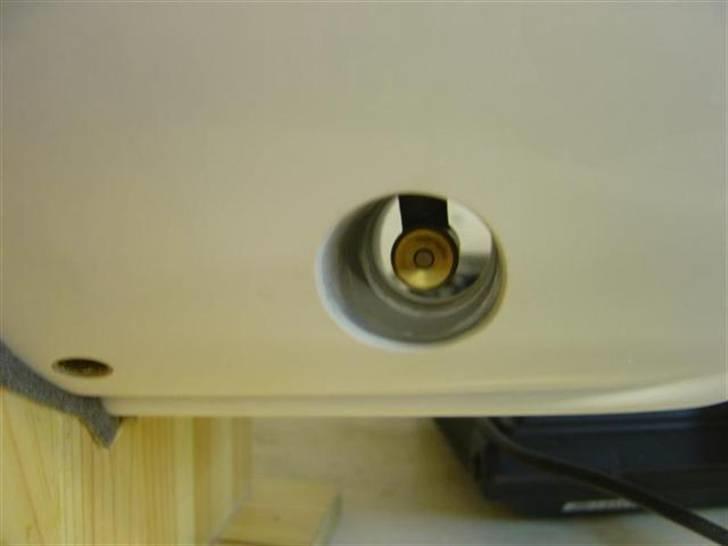 Odin fra robbe billede 71