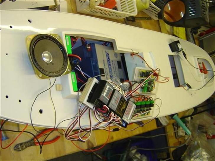 Odin fra robbe billede 75