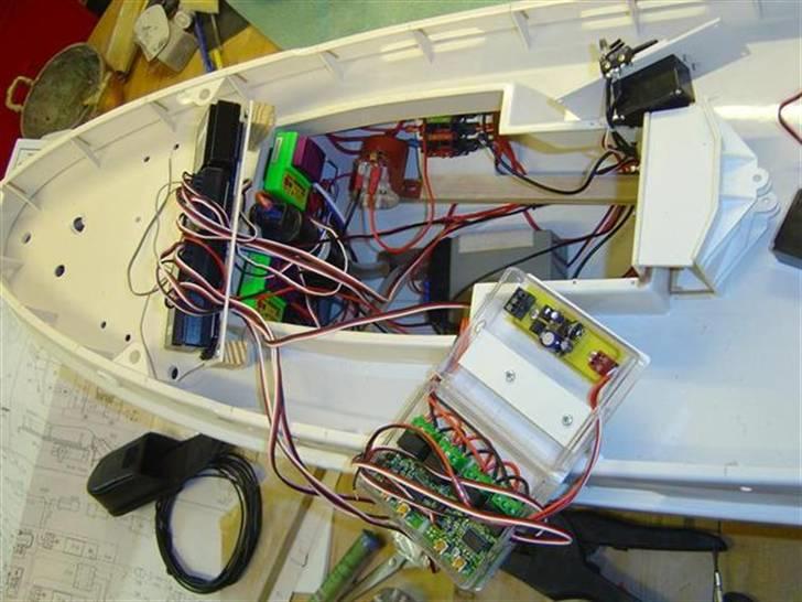 Odin fra robbe billede 77