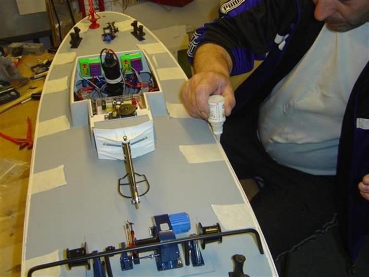 Odin fra robbe billede 107