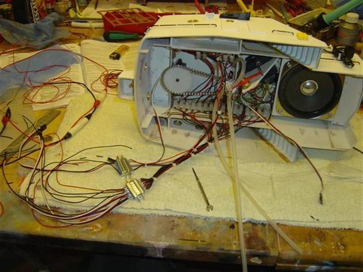 Odin fra robbe billede 142