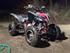 Yamaha YFM250R