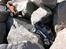 Rock crawling med STORT R.