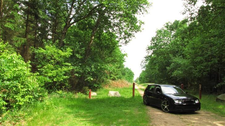 Mine 1:1 biler  - Min golf 4 1,8 20v efter en ombygning billede 101