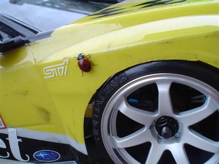 Subaru silvia vs mariehøne billede 5