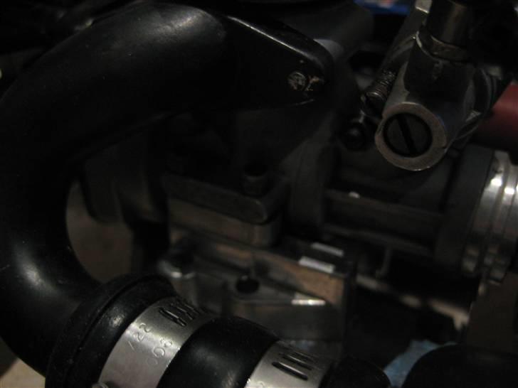 Robbe poker, Vurdering billede 4