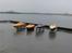 27-12-2009 Amager strandpark - Amager strandpark et perfekt sted at sejle med benz både.
Der var nok omkring 150 mennesker der kom forbi da de var ude og gå. Alle var nysgerrige og ville høre og se mere.