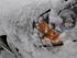 Gæt 2 biler Sne teaser :) 