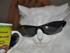 Cool Cat
