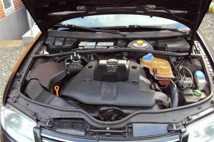 Mine 1:1 biler  - Passat V6 tdi med nyt hjerte billede 108