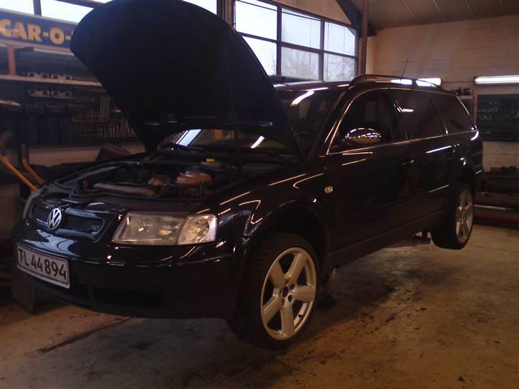 Mine 1:1 biler  - Inden ny motor billede 118