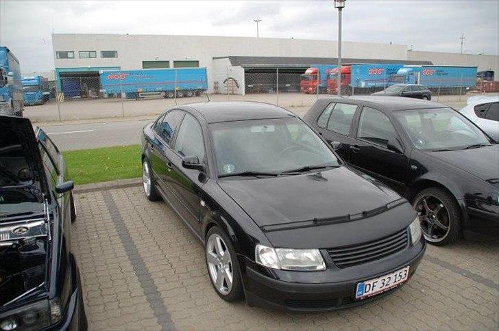 Mine 1:1 biler  - Passat VR5  billede 129