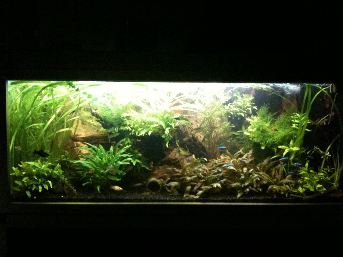 Turbo's hygge hobby rum ;-) billede 8