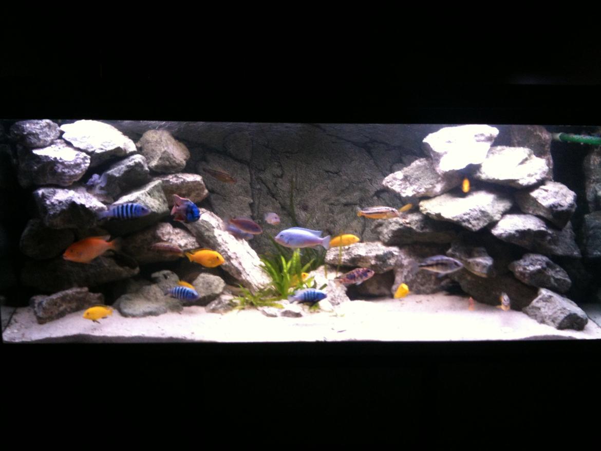 Turbo's hygge hobby rum ;-) billede 10