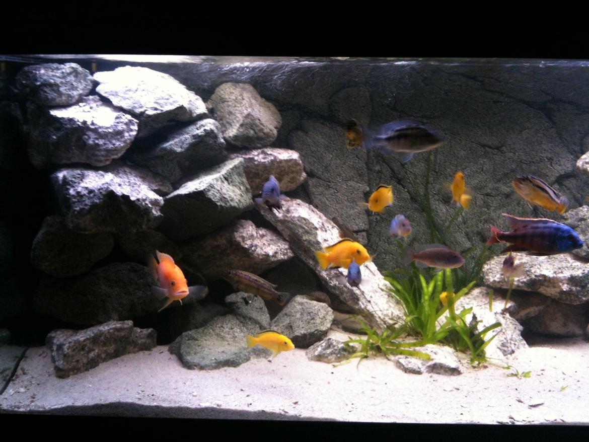 Turbo's hygge hobby rum ;-) billede 11