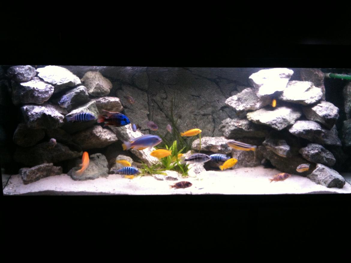 Turbo's hygge hobby rum ;-) billede 13