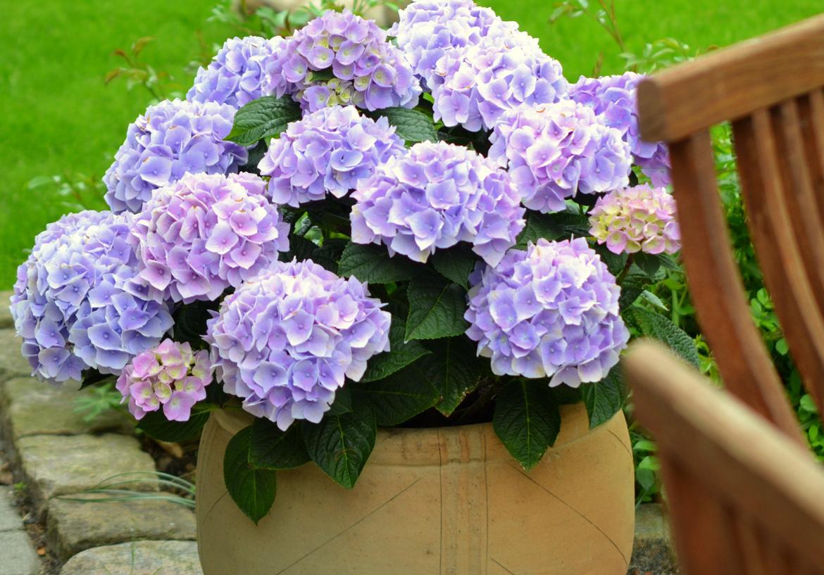 Nikon D3100 Test billede 4