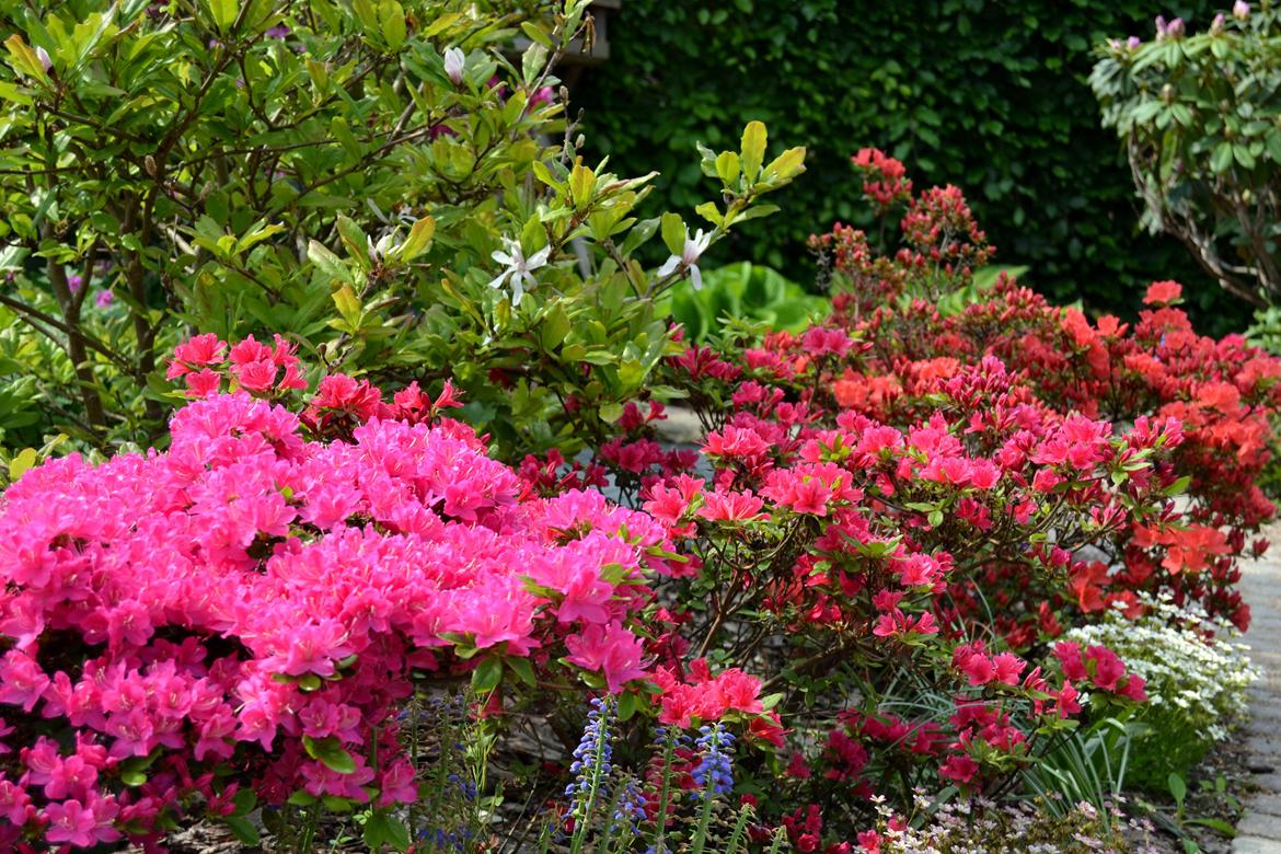 Nikon D3100 Test billede 5