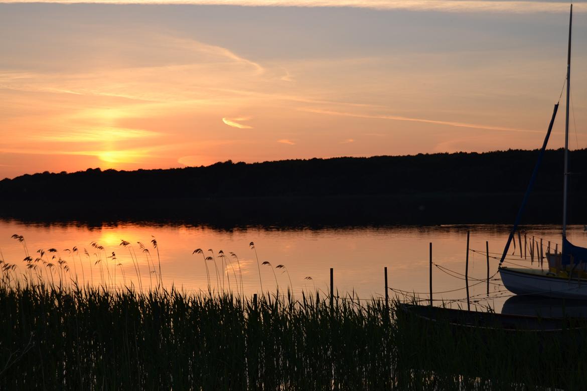 Nikon D3100 Test billede 9