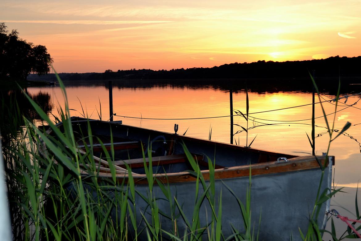 Nikon D3100 Test billede 10