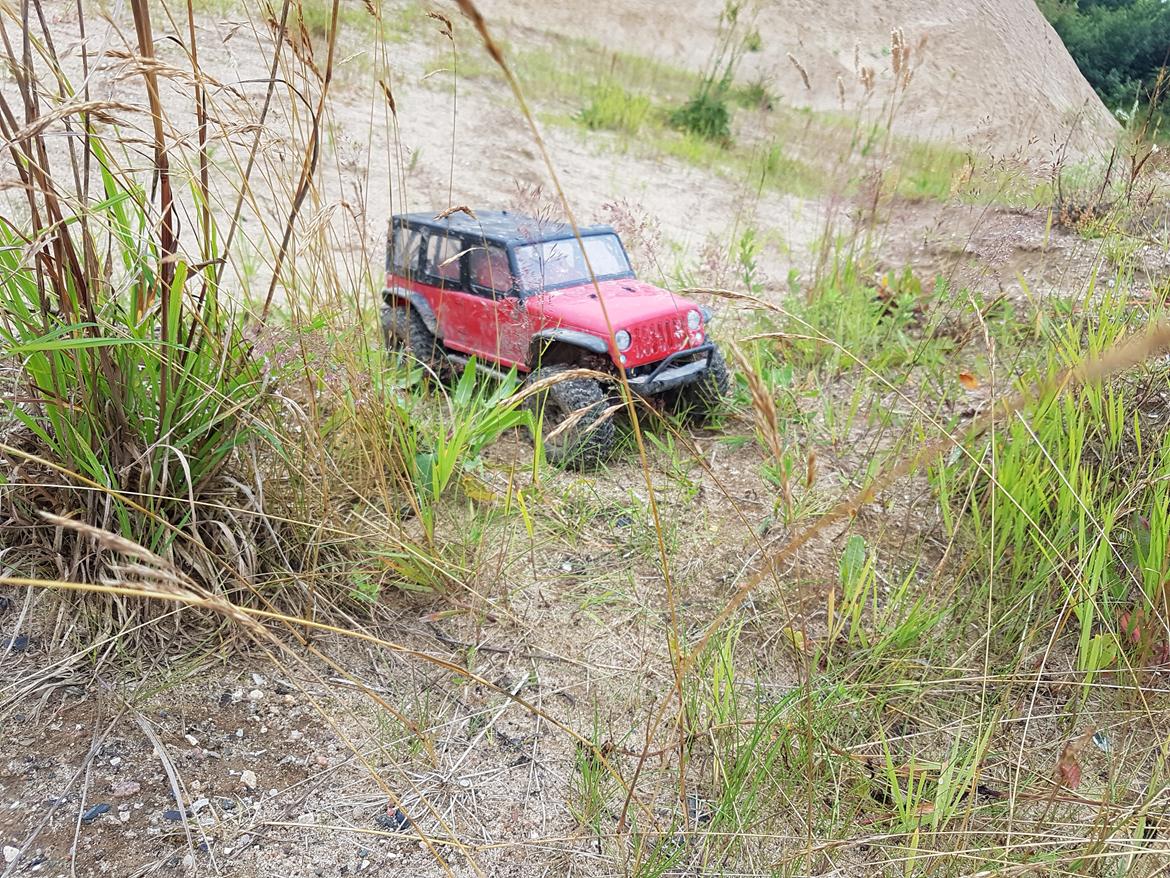 Fra Sørup grusgrav billede 22