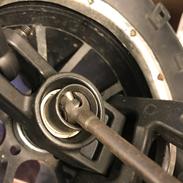 Maverick Blackout MT