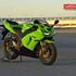 janick r
