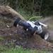 Helical gear set til FG Baja 2wd