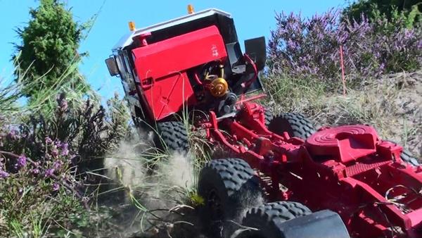 Mangler et falkeblik