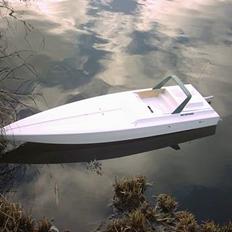 Båd OPS Wellcraft Scarab