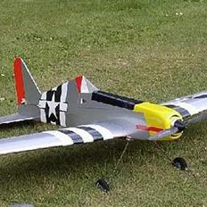 Fly Kobra 20 (Lars Holmgren)