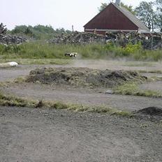 Off-Roader Ofna Speed 9.5 
