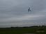 Fly Extra 330S 32%