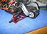 Truck LOSI Mini-T - Lehner 1015/13 brushless samt alu.