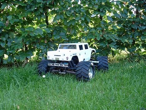 Truck Traxxas T-Maxx TRX 2.5 - Take A Walk On The Wildside billede 3