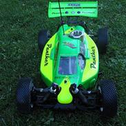 Buggy hobao hyper 7 pcr