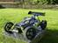 Buggy rex x