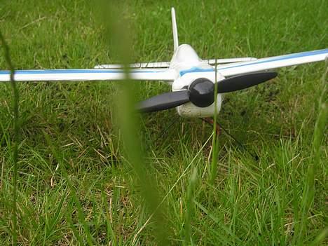 Fly cool - fly - ;p billede 4