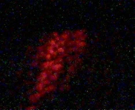 Bil Lincoln - Neon fra bagenden billede 13